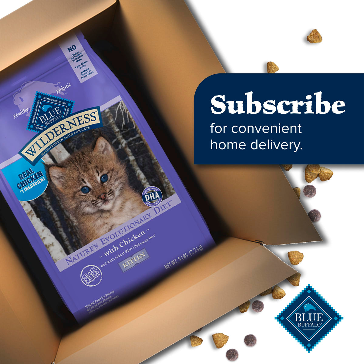 Blue Buffalo Wilderness with Chicken Natural High-Protein Grain-Free Dry Kitten Food, Real Chicken First, Antioxidant-Rich LifeSource Bits Support Immunity, DHA & ARA for Development, 2.2kg/5 lbs. ๐ All In One Marketplace Canada