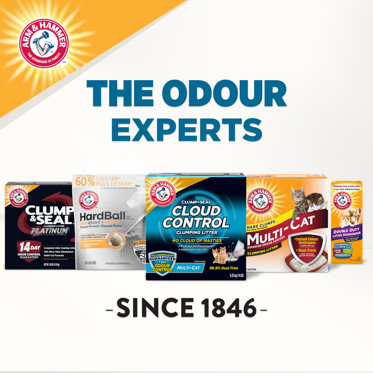 ARM & Hammer Cloud Control Clumping Cat Litter, Multi Cat, 6.35kg โ 7 Day Odour Control, 99.9% Dust Free, Hypoallergenic Light Scent ๐ All In One Marketplace Canada