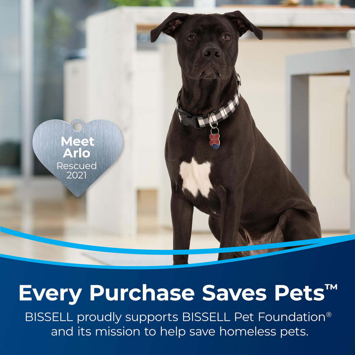 BISSELL Professional Pet Spot and Stain Plus OXY Formula for Portable Carpet Cleaners, 32oz, Removes Pet Urine Vomit and Odours, Car Detailer Solution, Little Green and SpotClean Compatible, 2034C ๐ All In One Marketplace Canada