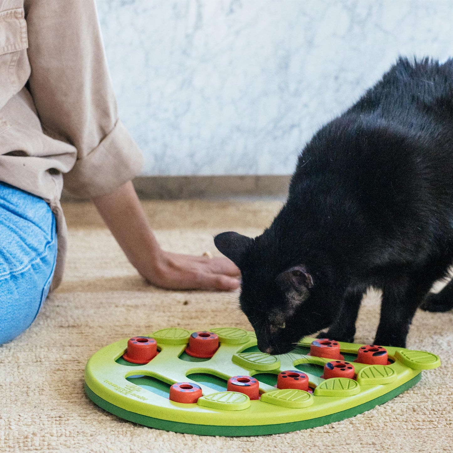 Catstages Buggin' Out Puzzle & Play, Interactive Treat Puzzle Cat Toy, Green π All In One Marketplace Canada