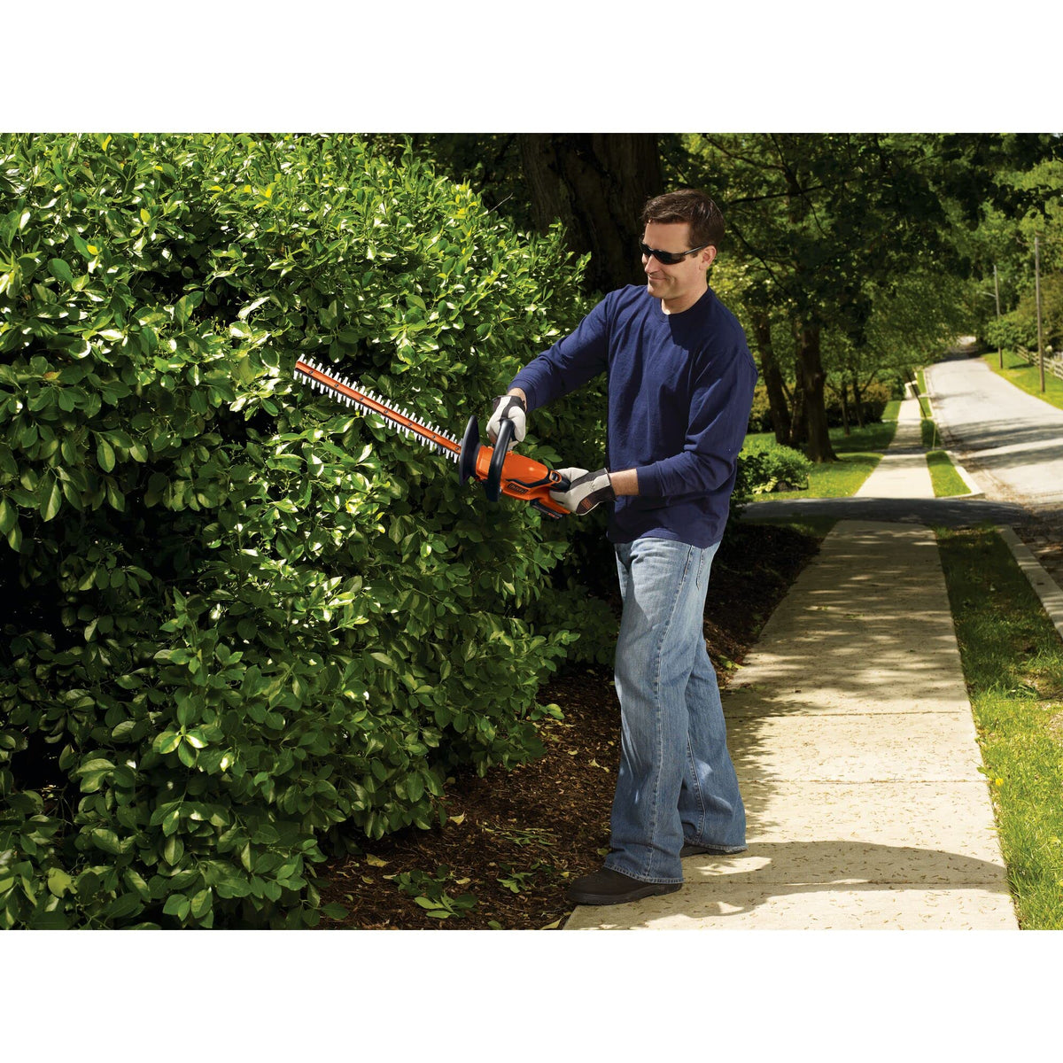 BLACK+DECKER 20V MAX* Cordless Hedge Trimmer, 22-Inch, Dual Action Blades (LHT2220-CA) ๐ All In One Marketplace Canada