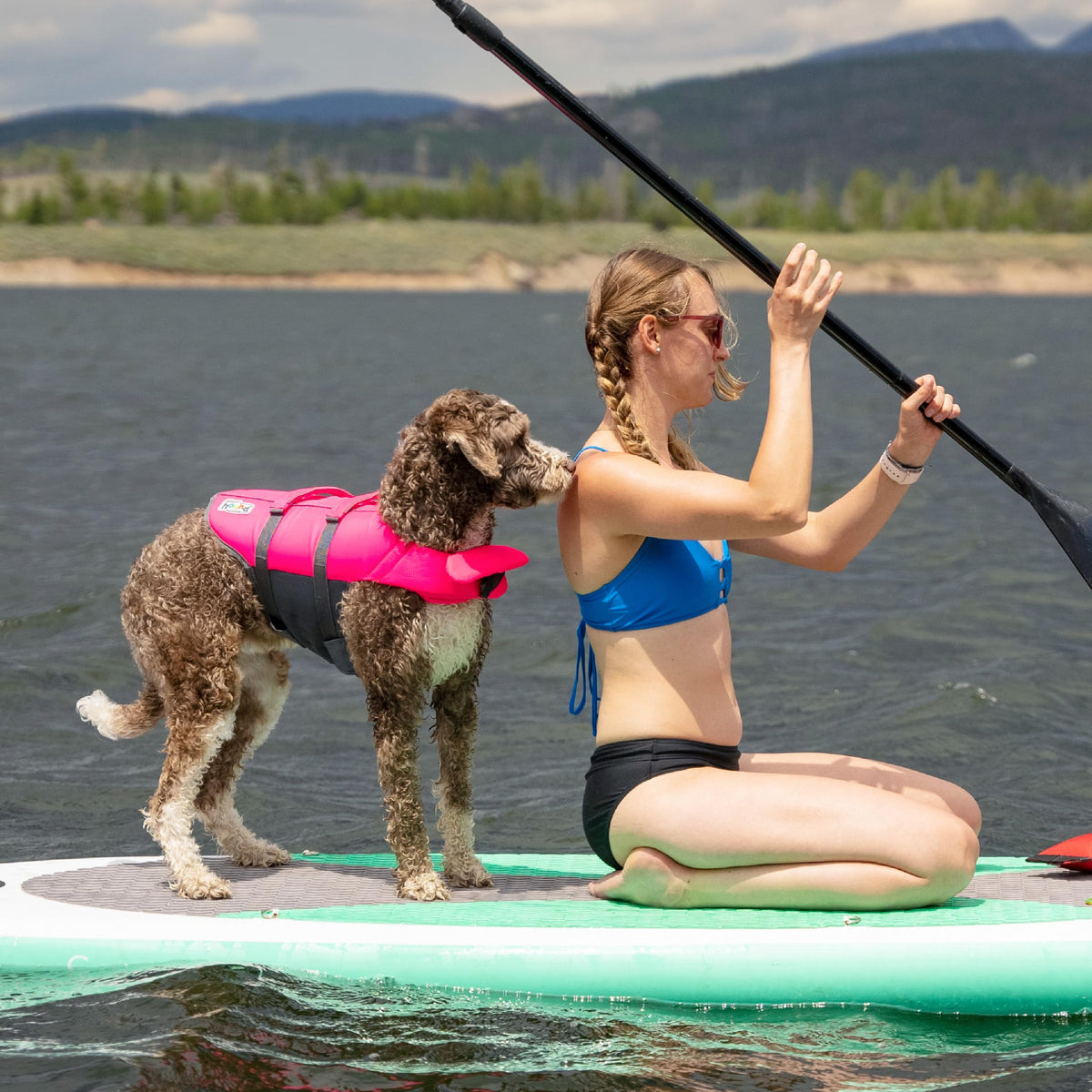 Outward Hound Granby Splash Dog Life Jacket with Handle, Reflective Floating Vest for Swimming & Boating, Maximum Buoyancy, All Skill Levels, Medium Dogs (21โ27" Girth), Pink, Medium ๐ All In One Marketplace Canada