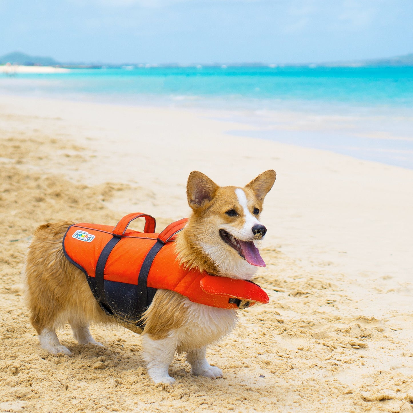 Outward Hound Granby Splash Dog Life Jacket with Handle, Reflective Floating Vest for Swimming & Boating, Maximum Buoyancy, All Skill Levels, Extra-Small Dogs & Puppies (11โ15" Girth), Orange, X-Small ๐ All In One Marketplace Canada