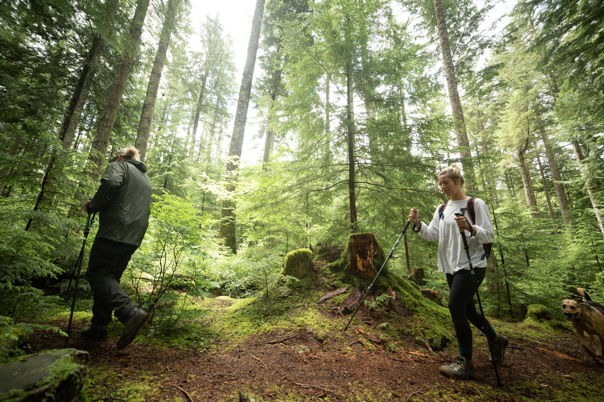 Cascade Mountain Tech Aluminum Adjustable Lightweight Trekking Poles with Cork Grip and Quick Lock for Hiking, Walking and Running in All Terrains ๐ All In One Marketplace Canada