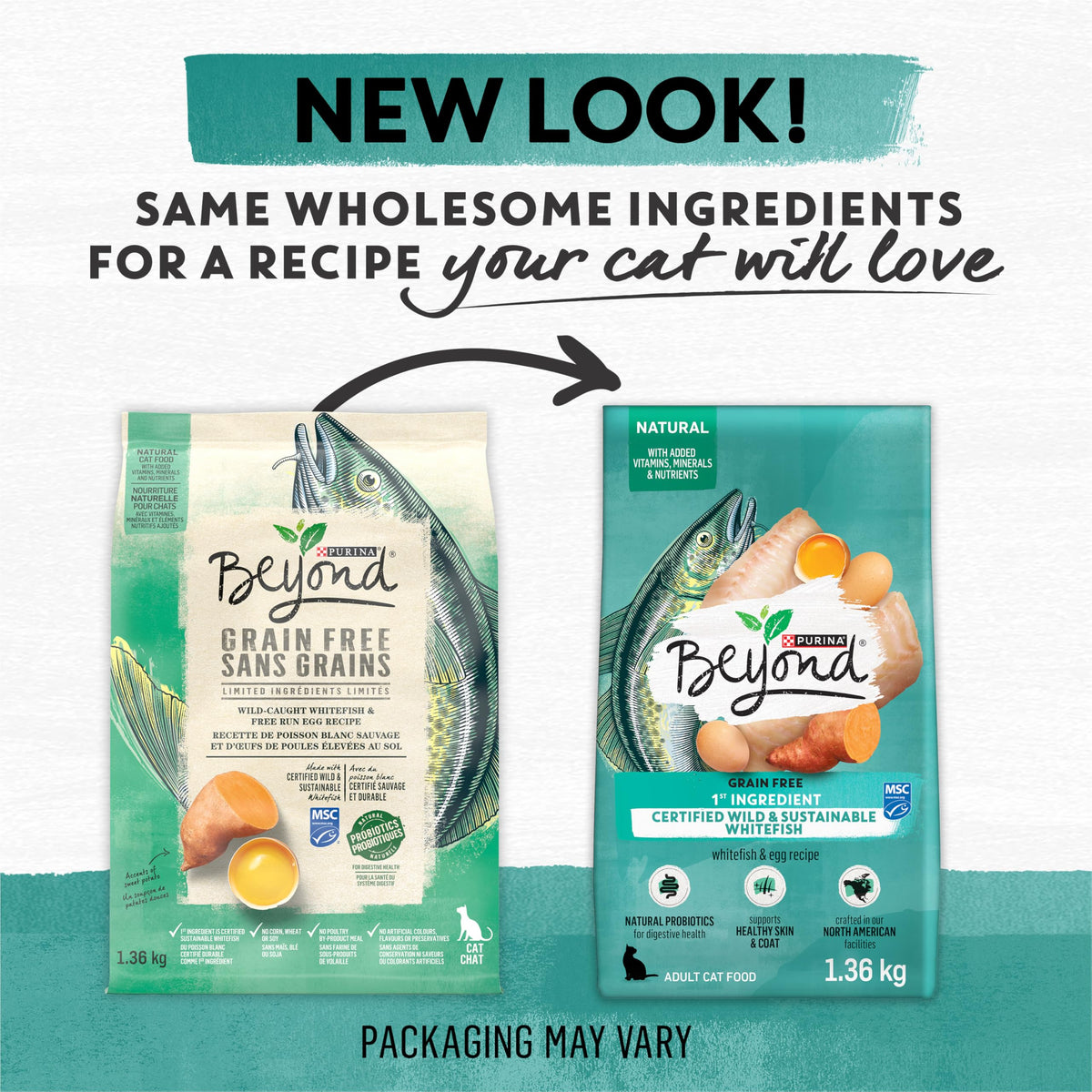 Beyond Grain Free Natural Dry Cat Food, Wild-Caught Whitefish & Free Run Egg - 2.26 kg Bag ๐ All In One Marketplace Canada