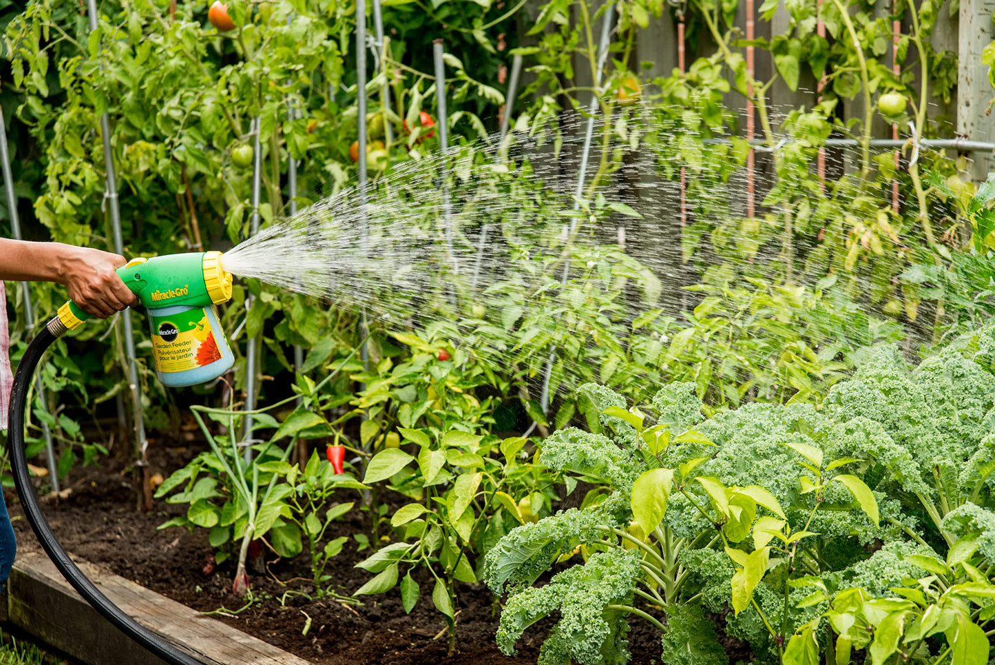 Miracle-Gro Garden Feeder Hose Attachment | Plant Food Sprayer | Easy One-Handed Hose End Fertilizer Dispenser for Outdoor Plants ๐ All In One Marketplace Canada