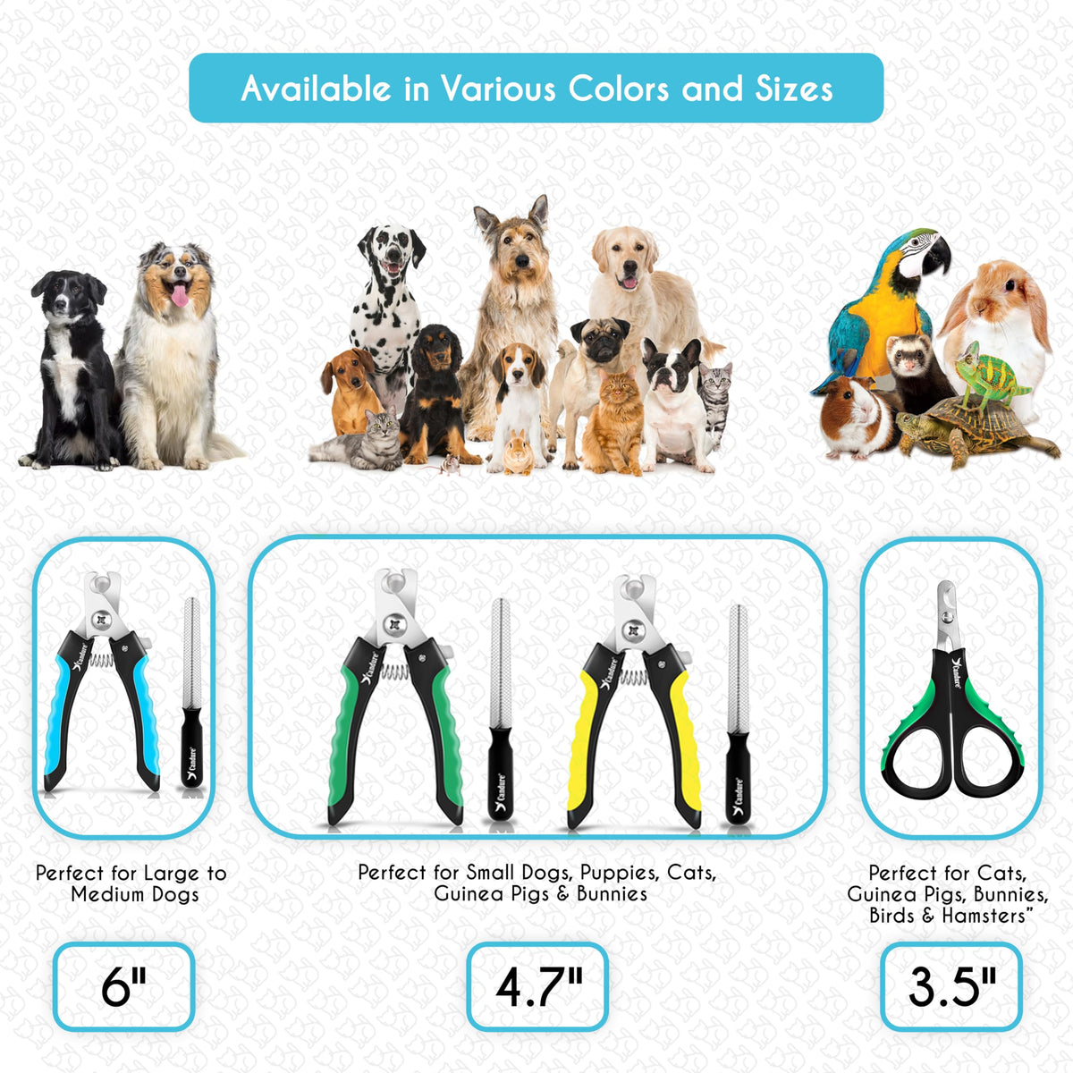 Candure Cat Nail Clippers for Indoor Cats, Rabbits, Hamsters, and Birds with Precise Angled Edges to Ensure Easy & Safe Trimming Stainless Steel Cat & Dog Nail Trimmer for At-Home Cat Grooming ๐ All In One Marketplace Canada
