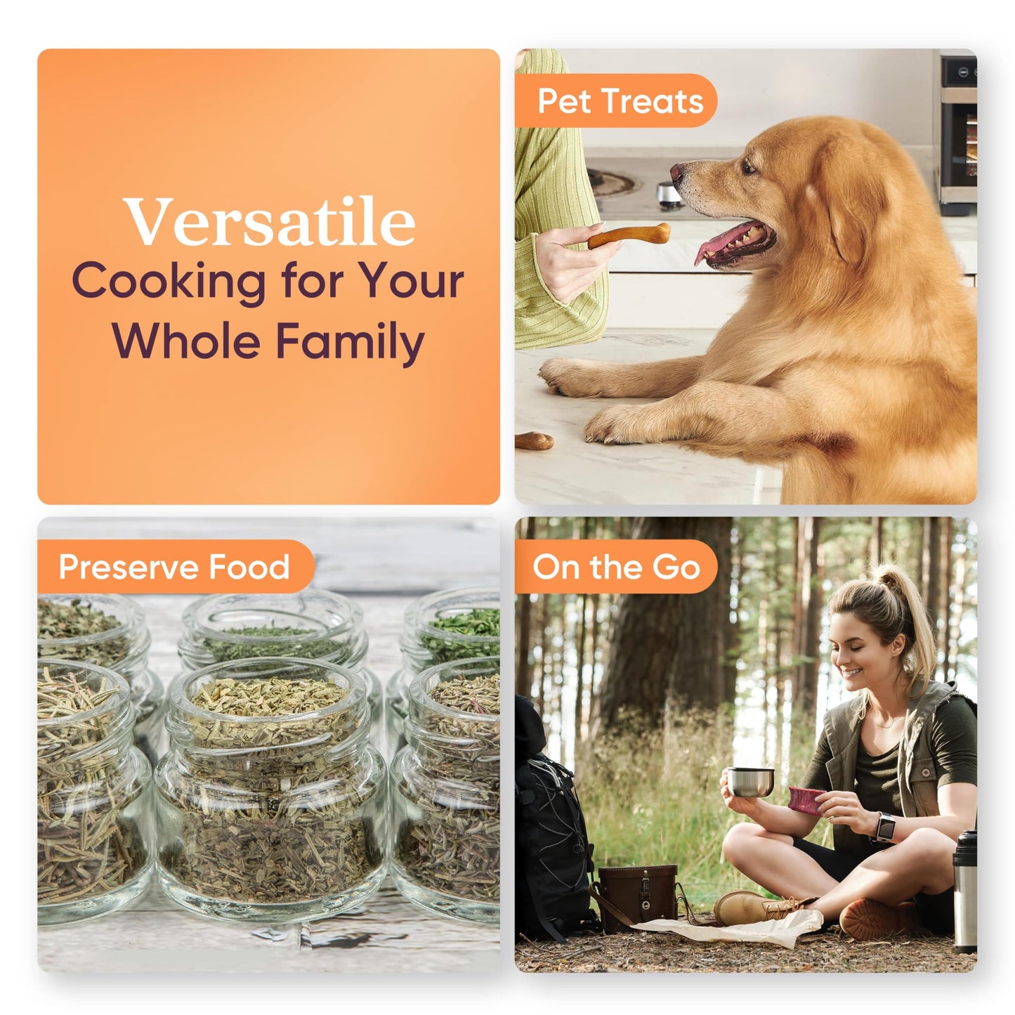 Cosori Food Dehydrator (50 Recipes) for Jerky, Vegetables Fruit, Meat, Dog Treats, Herbs, and Yogurt, Dryer Machine with Temperature Control, 6 Stainless Steel Trays, Rear-Mounted Fan, Silver π All In One Marketplace Canada