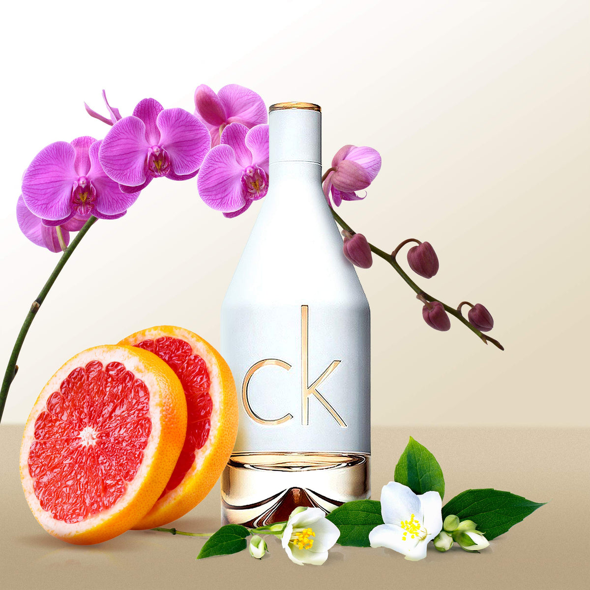 Calvin Klein CK IN2U Eau de Toilette for Women 50ml ๐ All In One Marketplace Canada