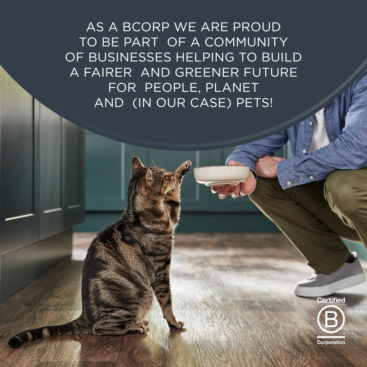 Reveal Natural Wet Cat Food in Broth, Limited Ingredient Grain Free Canned Cat Food, Protein with No Artificial Additives, Fish & Chicken Variety in Broth (12 x 2.47 oz Cans) π All In One Marketplace Canada