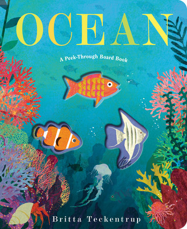 Ocean: A Peek-Through Board Book | Books