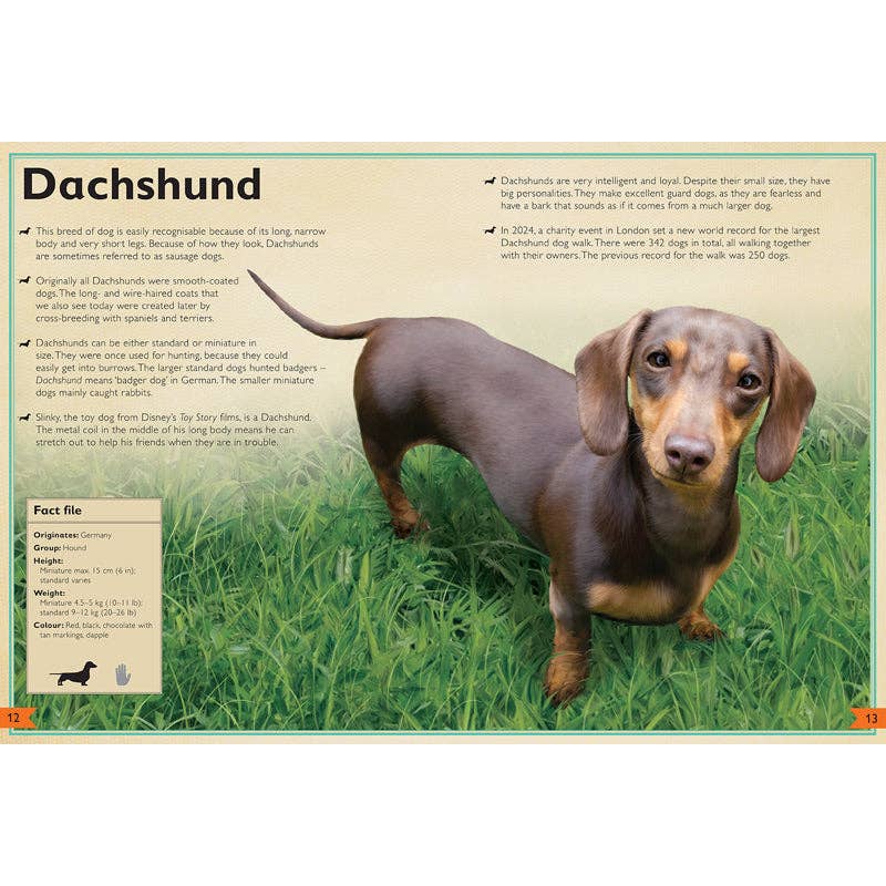 Insight Editions - The Magnificent Book of Dogs: Super-Sized - Ages 6+