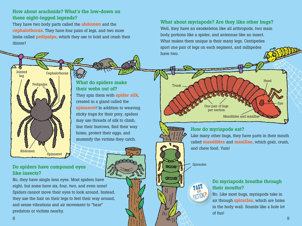 Peter Pauper Press - 100 Questions about Bugs - Ages 7+