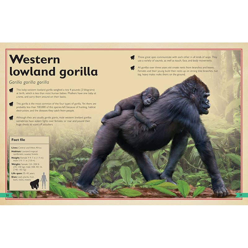 Insight Editions - The Magnificent Book of Monkeys and Apes - Ages 6+