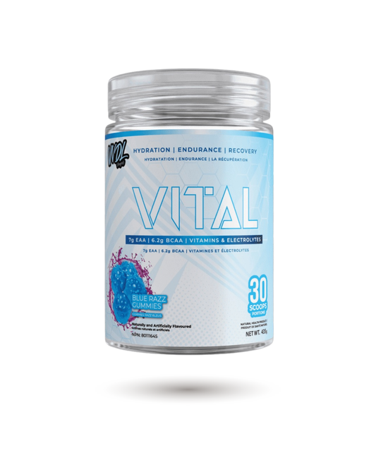 VNDL Project Vital - Endurance, Recovery & Hydration