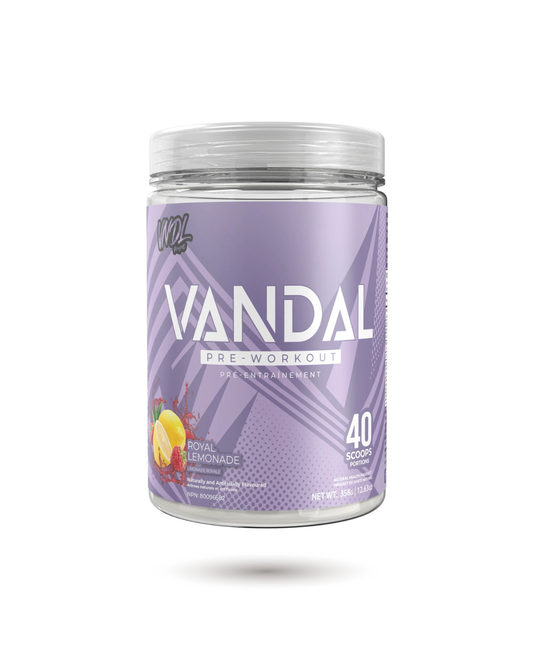 VNDL Project Vandal Pre-Workout