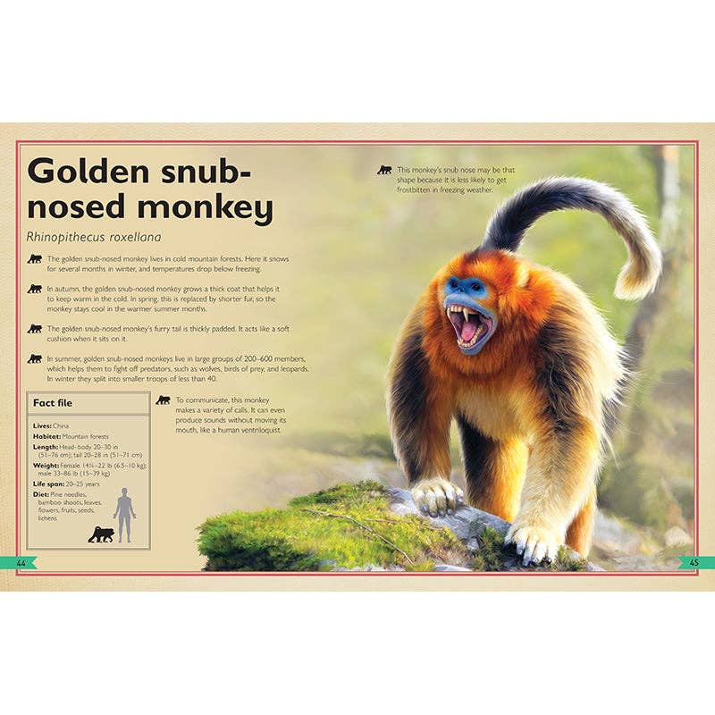 Insight Editions - The Magnificent Book of Monkeys and Apes - Ages 6+