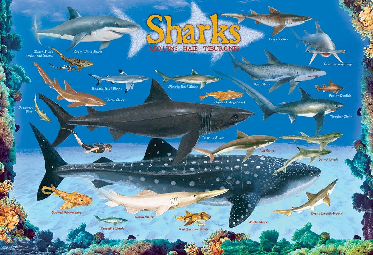 Eurographics Sharks 100-Piece Puzzle - Ocean Life - Ages 5+