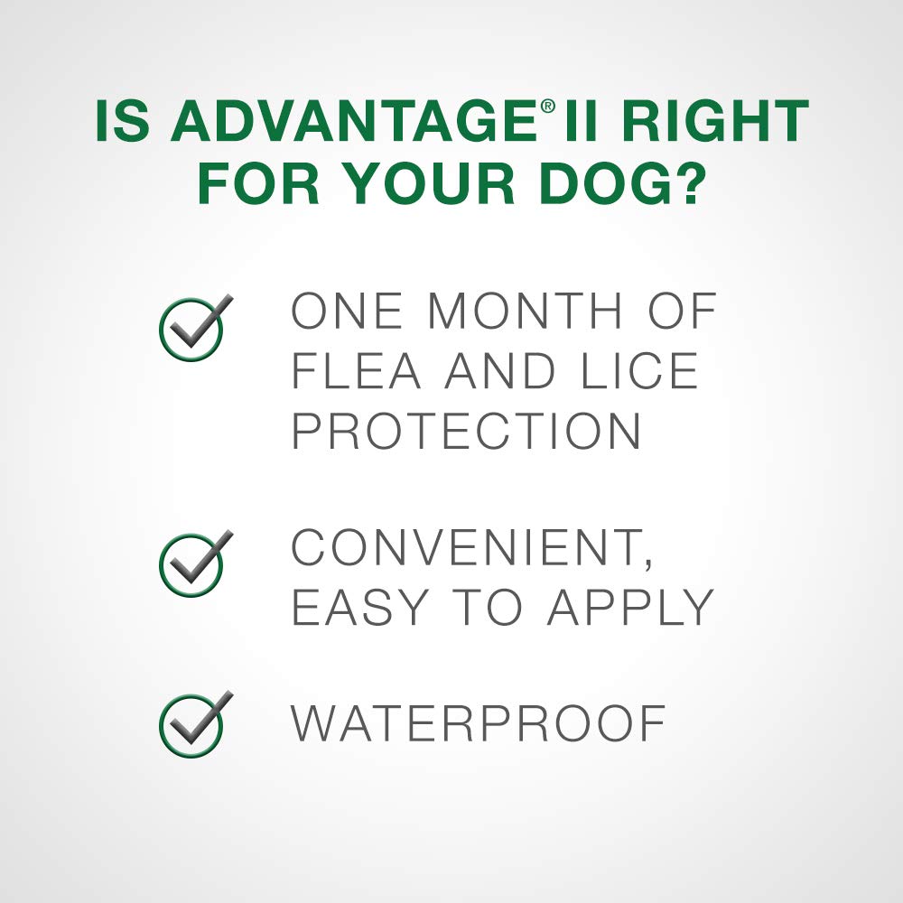 Advantage II - Flea Protection - Large Dog - Vet Recommended - 2-pack 🍁 All In One Marketplace Canada