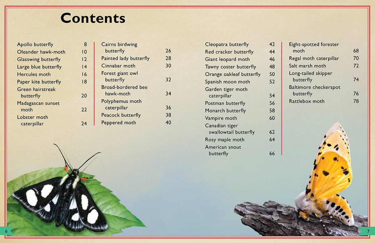 Insight Editions - The Magnificent Book of Butterflies & Moths - Ages 6+