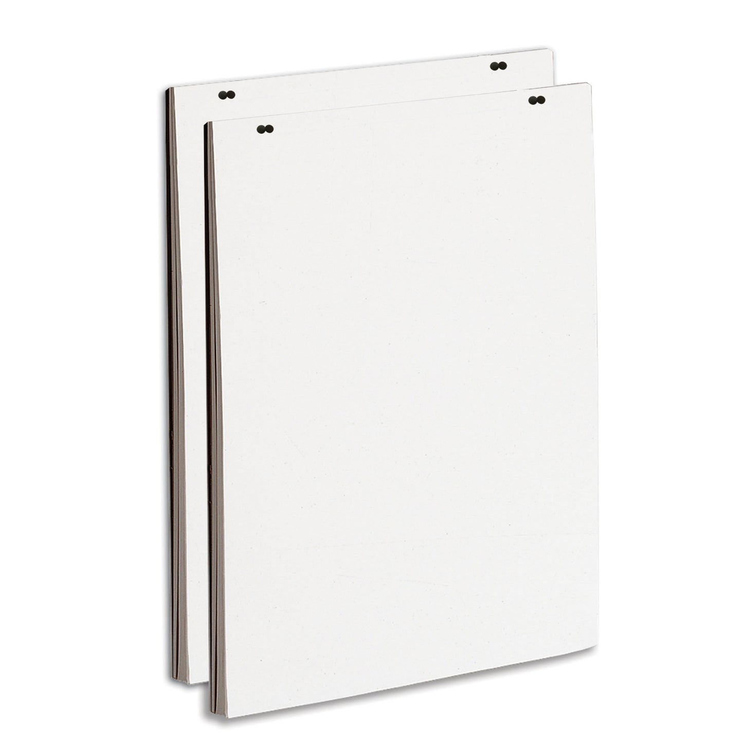 Quartet Newsprint Easel Pad, 24" x 36", 50 Sheets/Pad, 2-Pack (3413889604) 🍁 All In One Marketplace Canada
