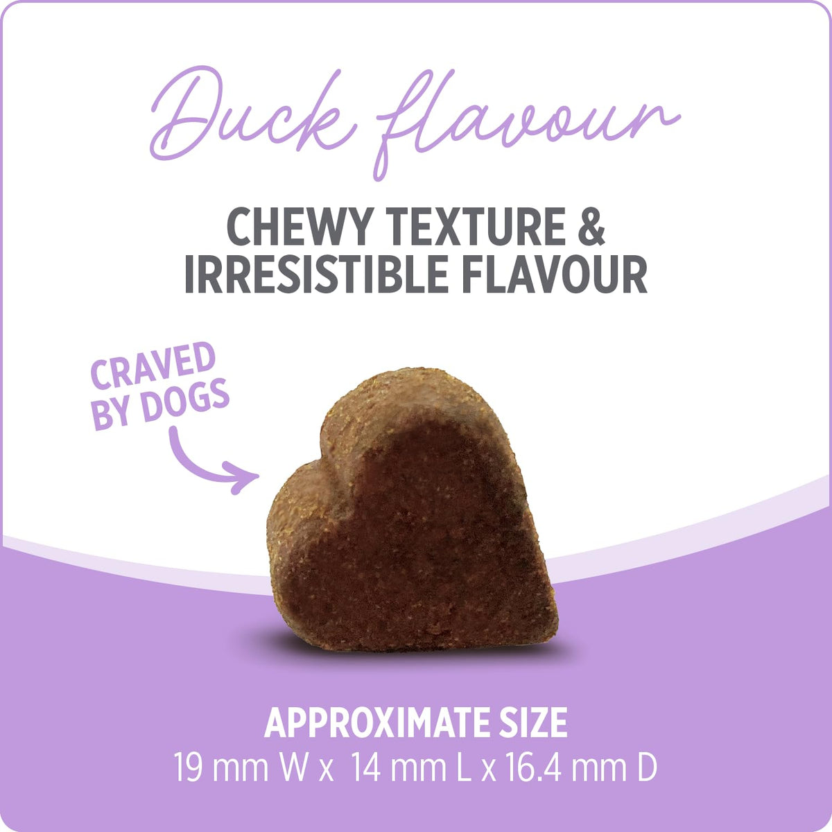Nutrience Care® Hip & Joint Dog Supplement, 100 Soft Chews, 400 g 🍁 All In One Marketplace Canada