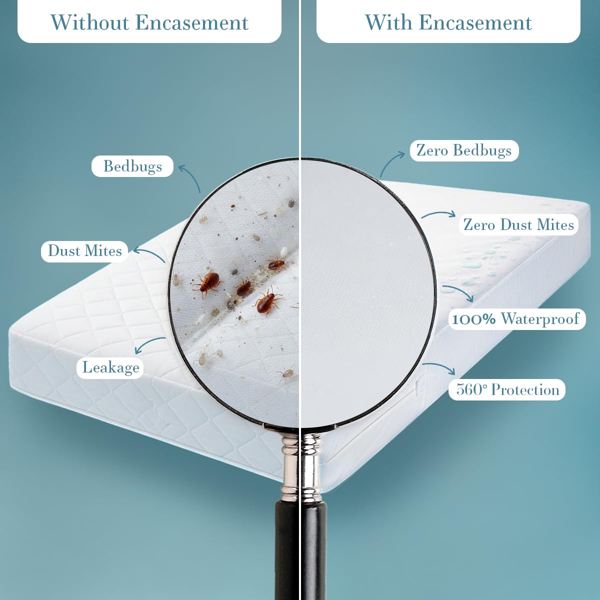 Utopia Bedding Zippered Mattress Encasement Twin (Pack of 2) - 100% Waterproof and Bed Bug Proof Mattress Protector - Absorbent, Six-Sided Mattress Cover 🍁 All In One Marketplace Canada