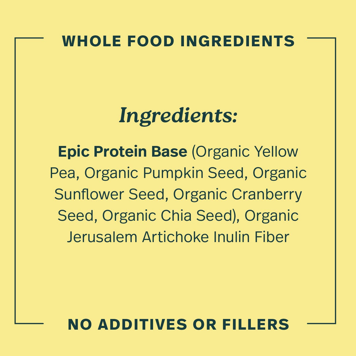 Sprout Living Epic Protein Powder Original 1 lb, original, 1-pound 🍁 All In One Marketplace Canada