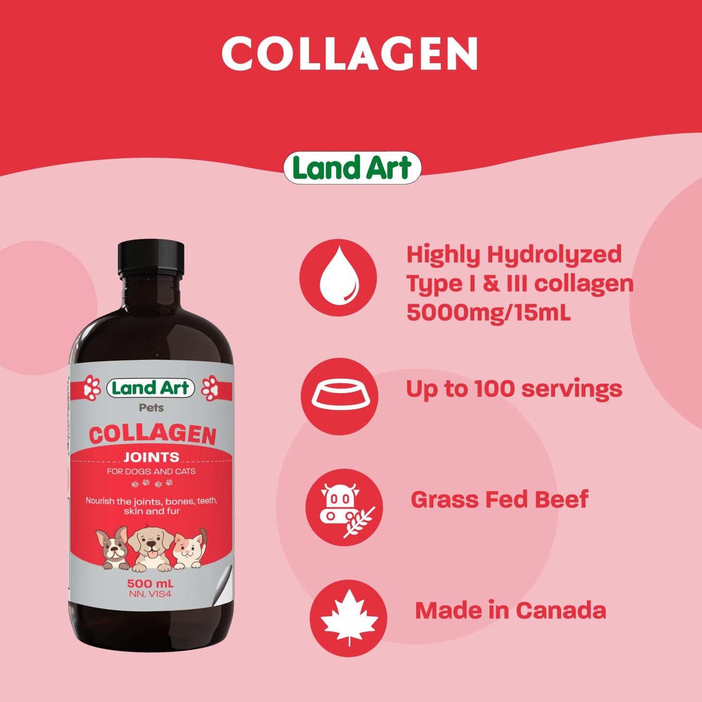 Pet Collagen Supplement - Grass Fed Beef Hydrolyzed - Natural Beef Flavour - Joint Care - Mobility & Health - Gluten, GMO & Sugar Free - for Dog & Cats - Made in Canada - 500ml 🍁 All In One Marketplace Canada