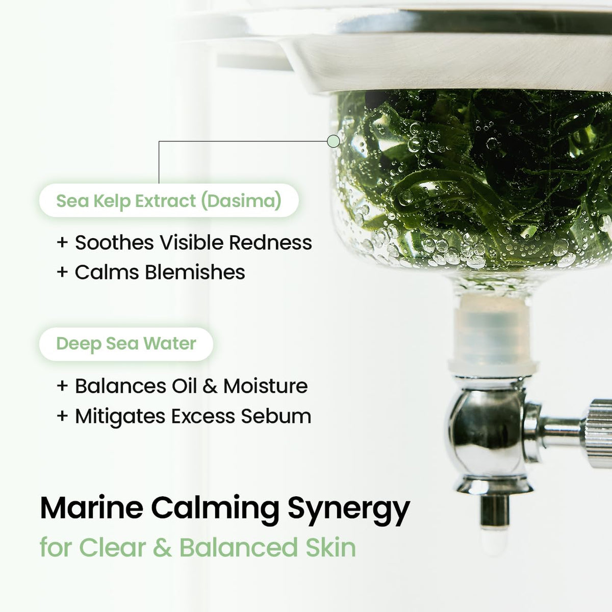 BIODANCE Refreshing Sea kelp Real Deep Mask, Hydrogel Mask, Calming, Oil & Sebum Control, Blemish Care, Korean Skincare, 1.19oz(34g) x 4eaBIODANCE Refreshing Sea kelp Real Deep Mask, Hydrogel Mask, Calming, Oil & Sebum Control, Blemish Care, Korean Skinca