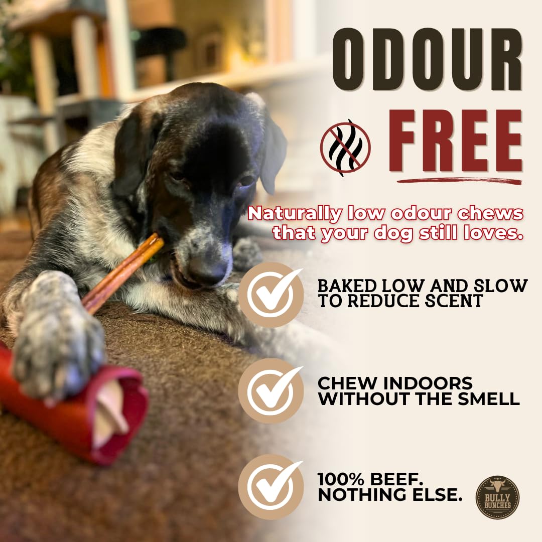 Bully Bunches Premium (12" Standard - 5 Pack) Odour-Free, Consistently Sized Bully Sticks for Medium Dogs - Long Lasting Oral Care Chews - All Natural Single Ingredient, Beef Dog Treat, No Rawhide 🍁 All In One Marketplace Canada