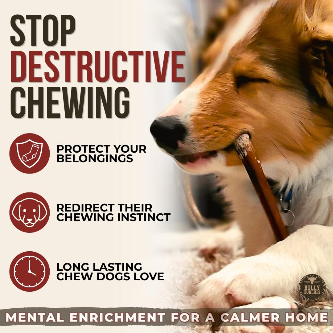 Bully Bunches Premium (6" Standard - 5 Pack) Odour-Free, Consistently Sized Bully Sticks for Small & Medium Dogs & Puppies, Long-Lasting Oral Care Chews, All-Natural Single-Ingredient Beef, No Rawhide 🍁 All In One Marketplace Canada