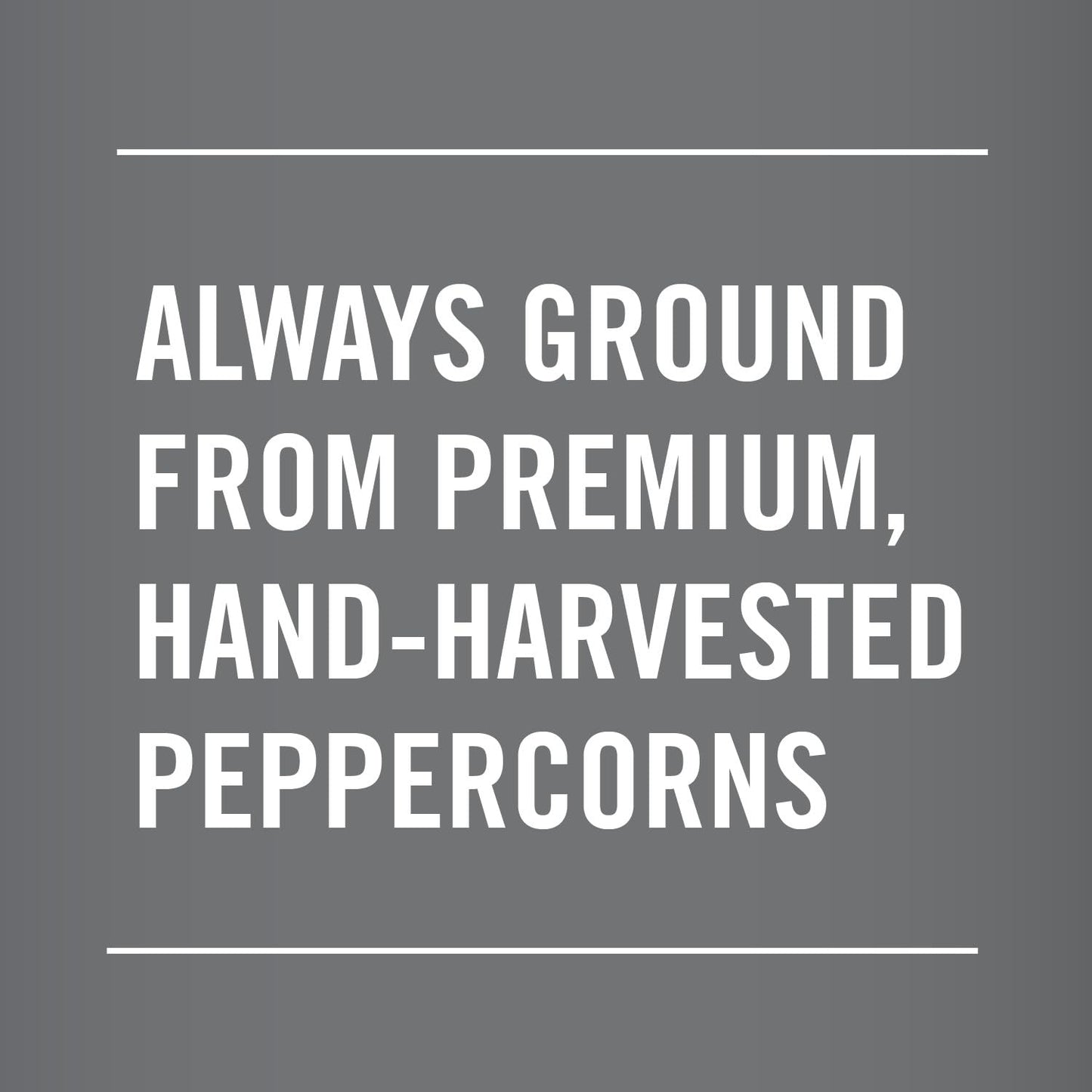 Club House Herbs & Spices, Restaurant Grind Black Pepper, 500 g 🍁 All In One Marketplace Canada