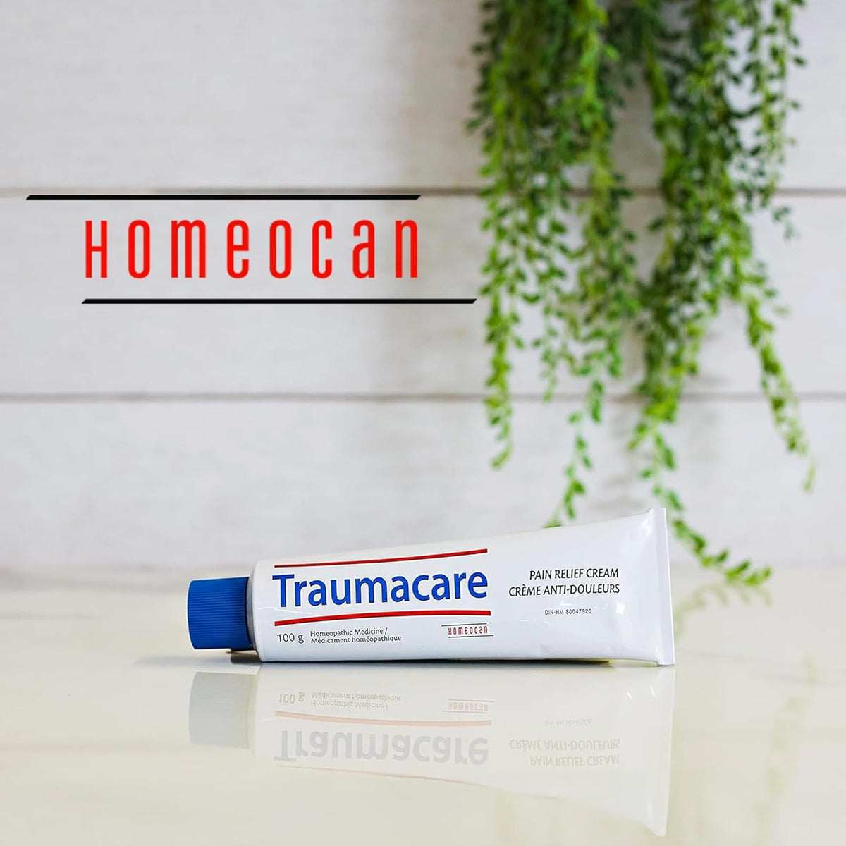 Homeocan Homeopathic Arnica Cream, Bruise Cream, Non Greasy, 100g 🍁 All In One Marketplace Canada