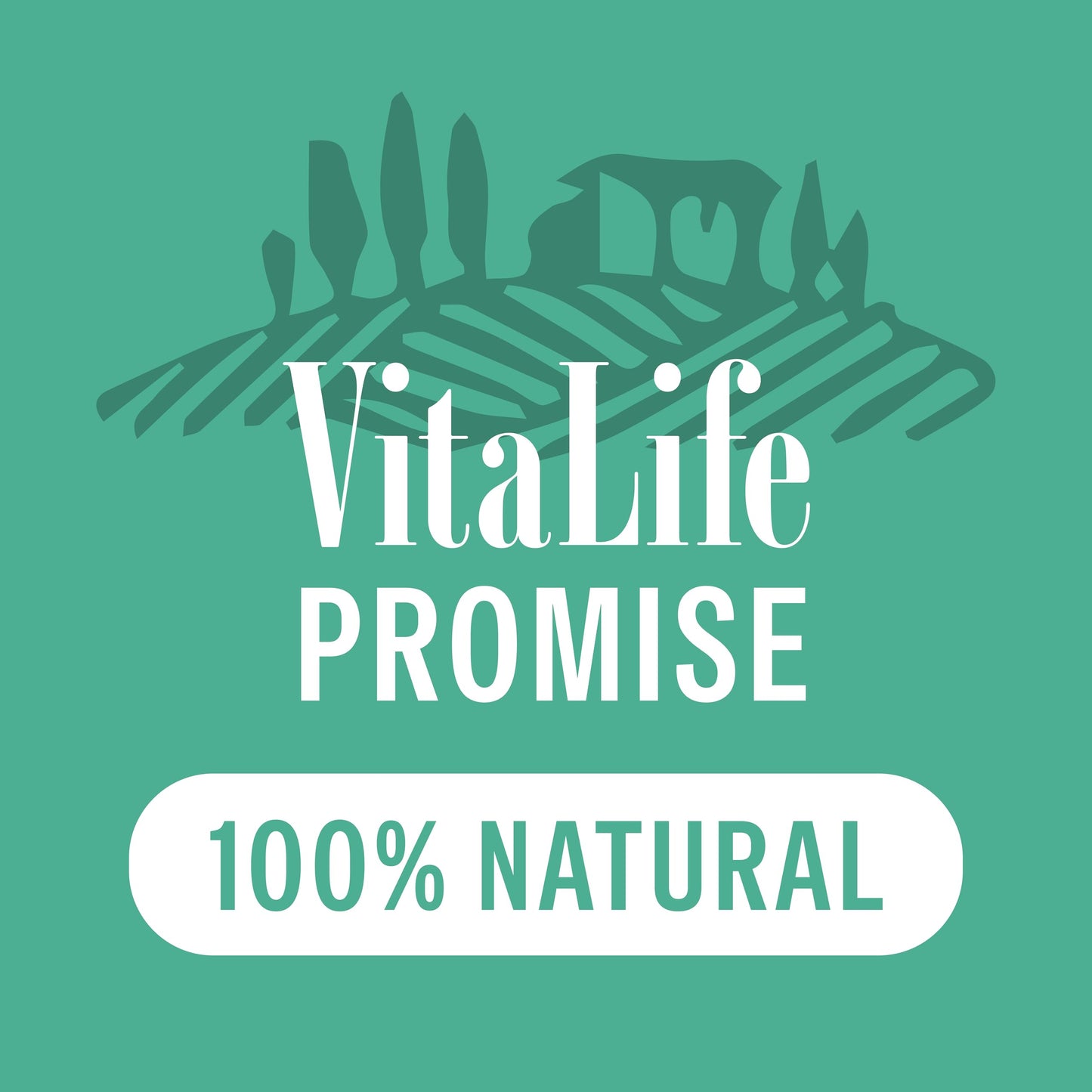 VitaLife 750 g Duck Tenders, All Natural Dog Treats 🍁 All In One Marketplace Canada