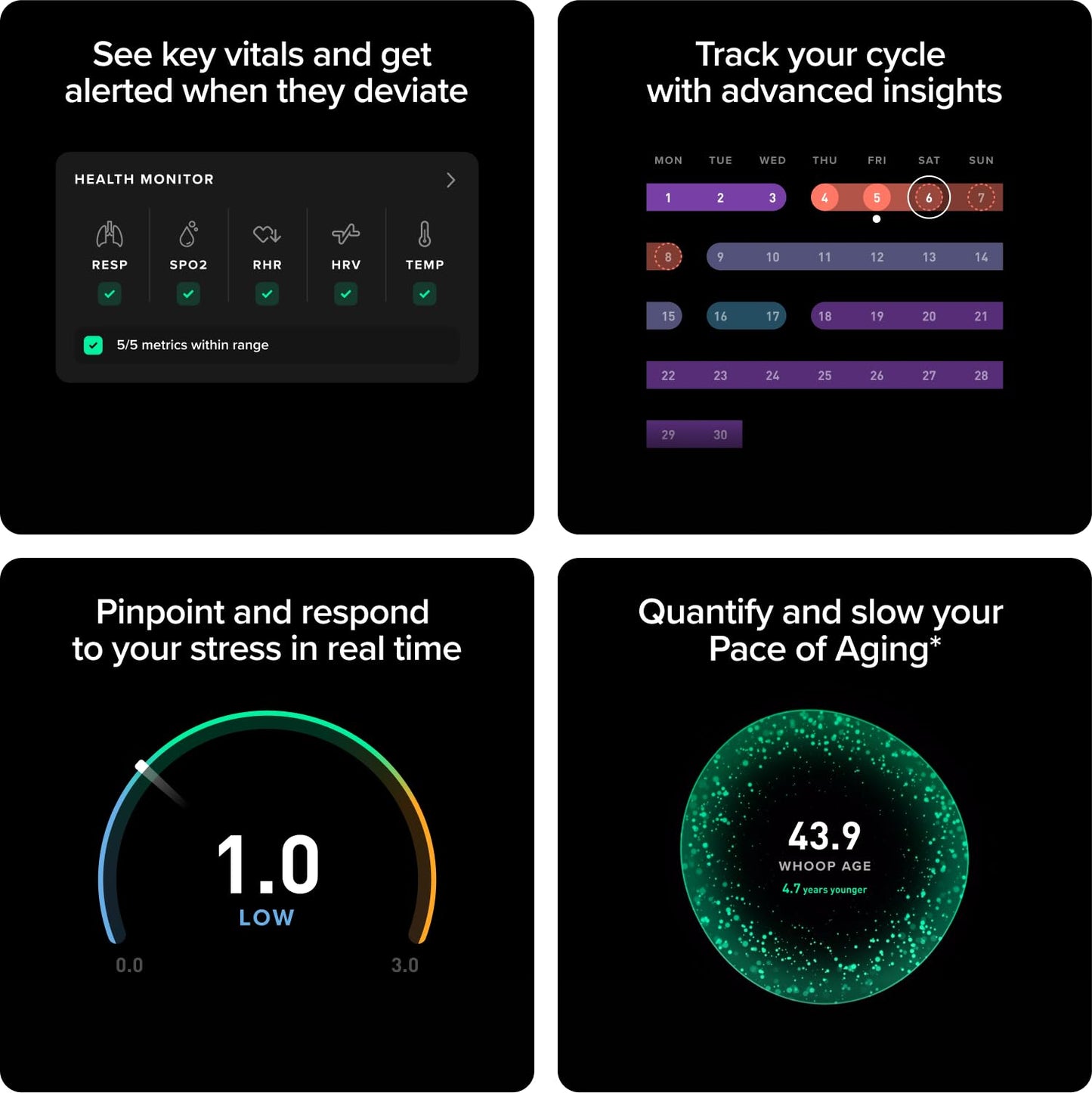 WHOOP Peak – 12-Month Membership – 5.0 Health and Fitness Wearable – 24/7 Activity and Sleep Tracker with Heart Rate, HRV, Stress Monitor, Personalized Coaching, Healthspan – 14+ Days Battery Life 🍁 All In One Marketplace Canada