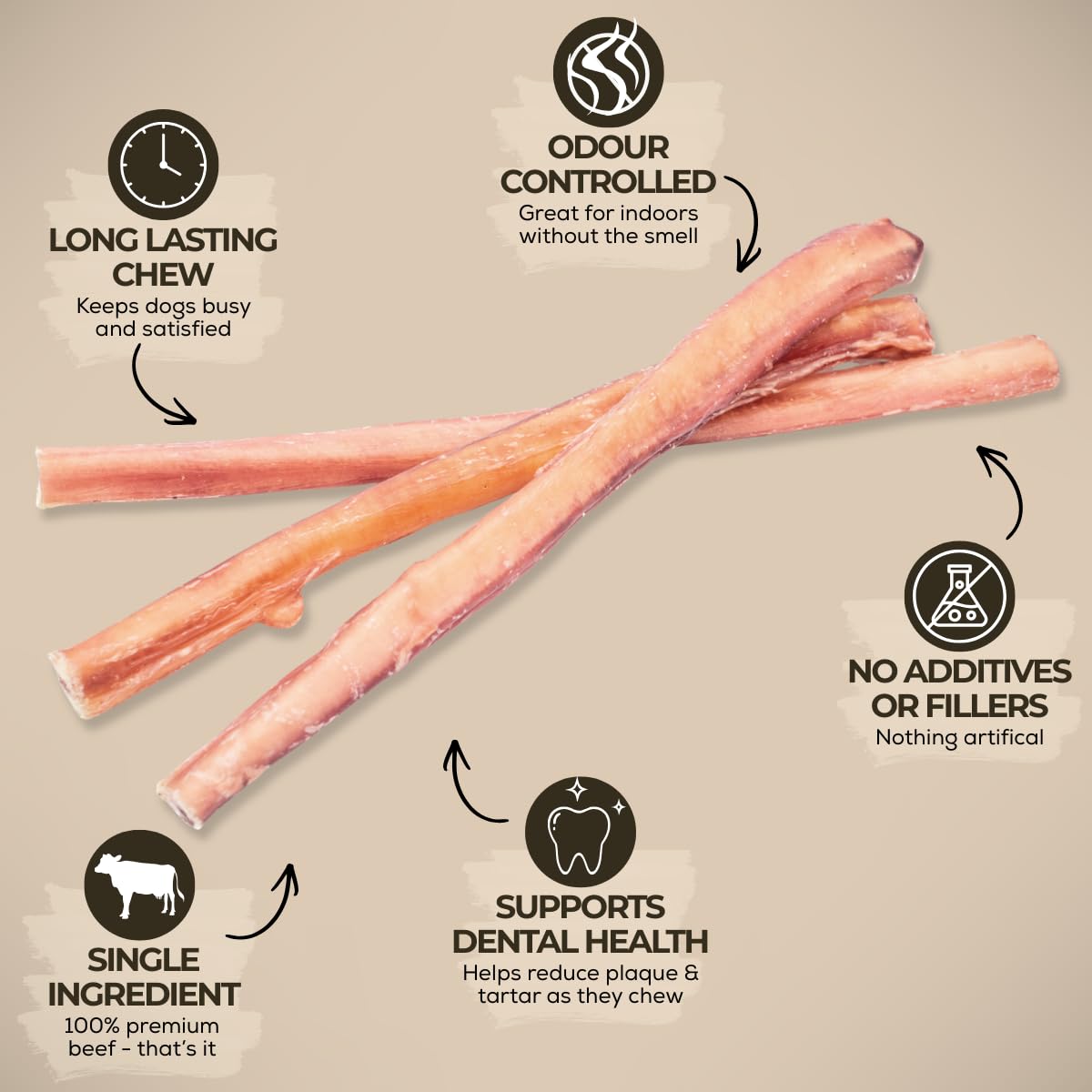 Bully Bunches Premium (12" Standard - 5 Pack) Odour-Free, Consistently Sized Bully Sticks for Medium Dogs - Long Lasting Oral Care Chews - All Natural Single Ingredient, Beef Dog Treat, No Rawhide 🍁 All In One Marketplace Canada