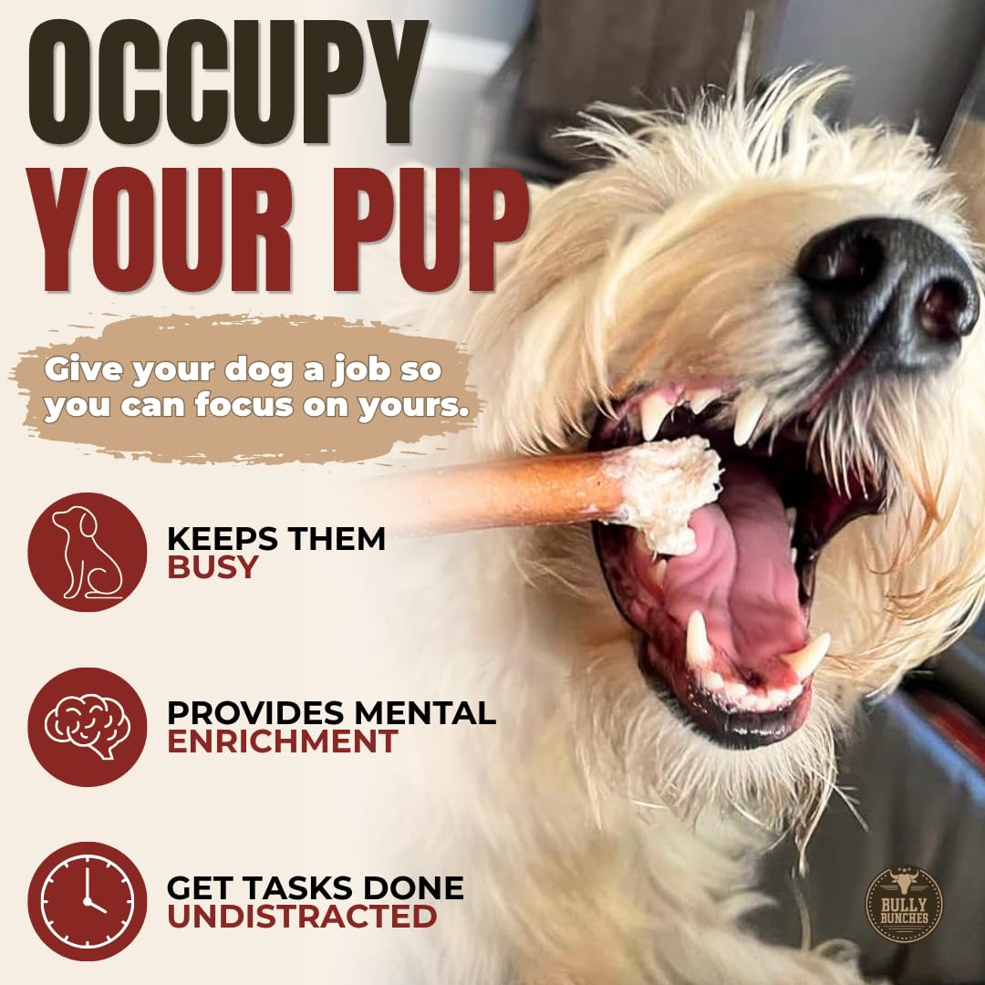 Bully Bunches Premium (6" Standard - 5 Pack) Odour-Free, Consistently Sized Bully Sticks for Small & Medium Dogs & Puppies, Long-Lasting Oral Care Chews, All-Natural Single-Ingredient Beef, No Rawhide 🍁 All In One Marketplace Canada