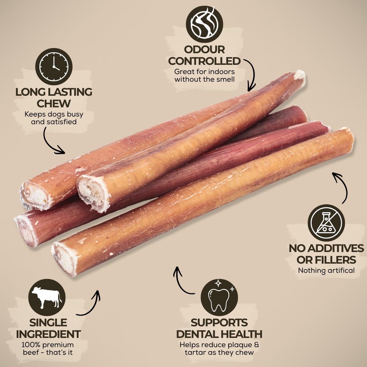 Bully Bunches Premium (6" Standard - 5 Pack) Odour-Free, Consistently Sized Bully Sticks for Small & Medium Dogs & Puppies, Long-Lasting Oral Care Chews, All-Natural Single-Ingredient Beef, No Rawhide 🍁 All In One Marketplace Canada