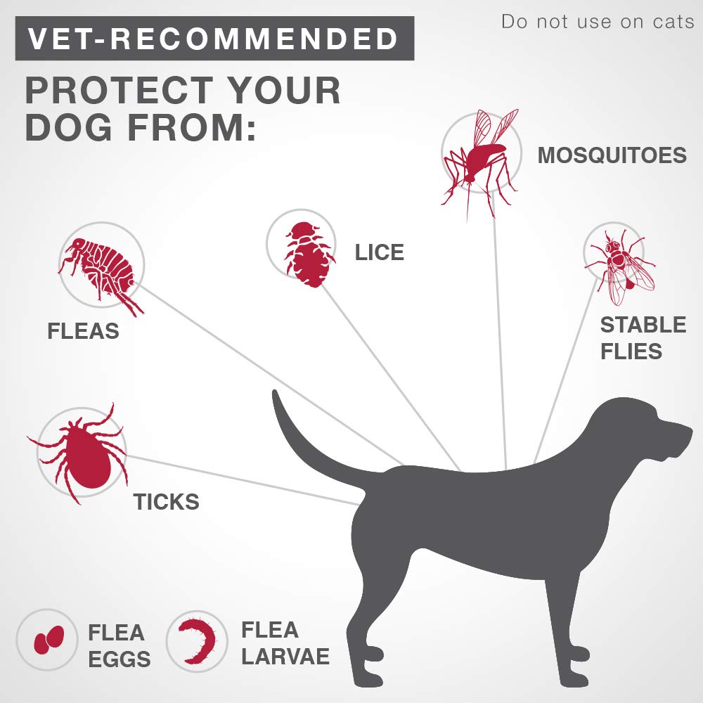 K9 Advantix II Flea & Tick Prevention – Small Dog - Vet Recommended - 2-Pk 🍁 All In One Marketplace Canada