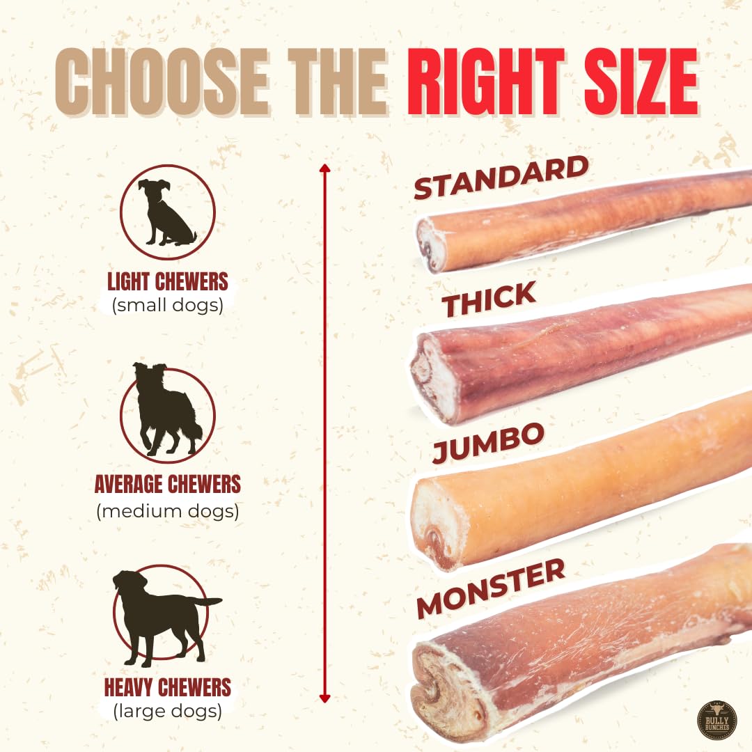 Bully Bunches Premium (6" Standard - 20 Pack) Odour-Free, Consistently Sized Bully Sticks for Medium Dogs - Long Lasting Oral Care Chews - All Natural Fully Digestible Beef Treat, No Rawhide 🍁 All In One Marketplace Canada