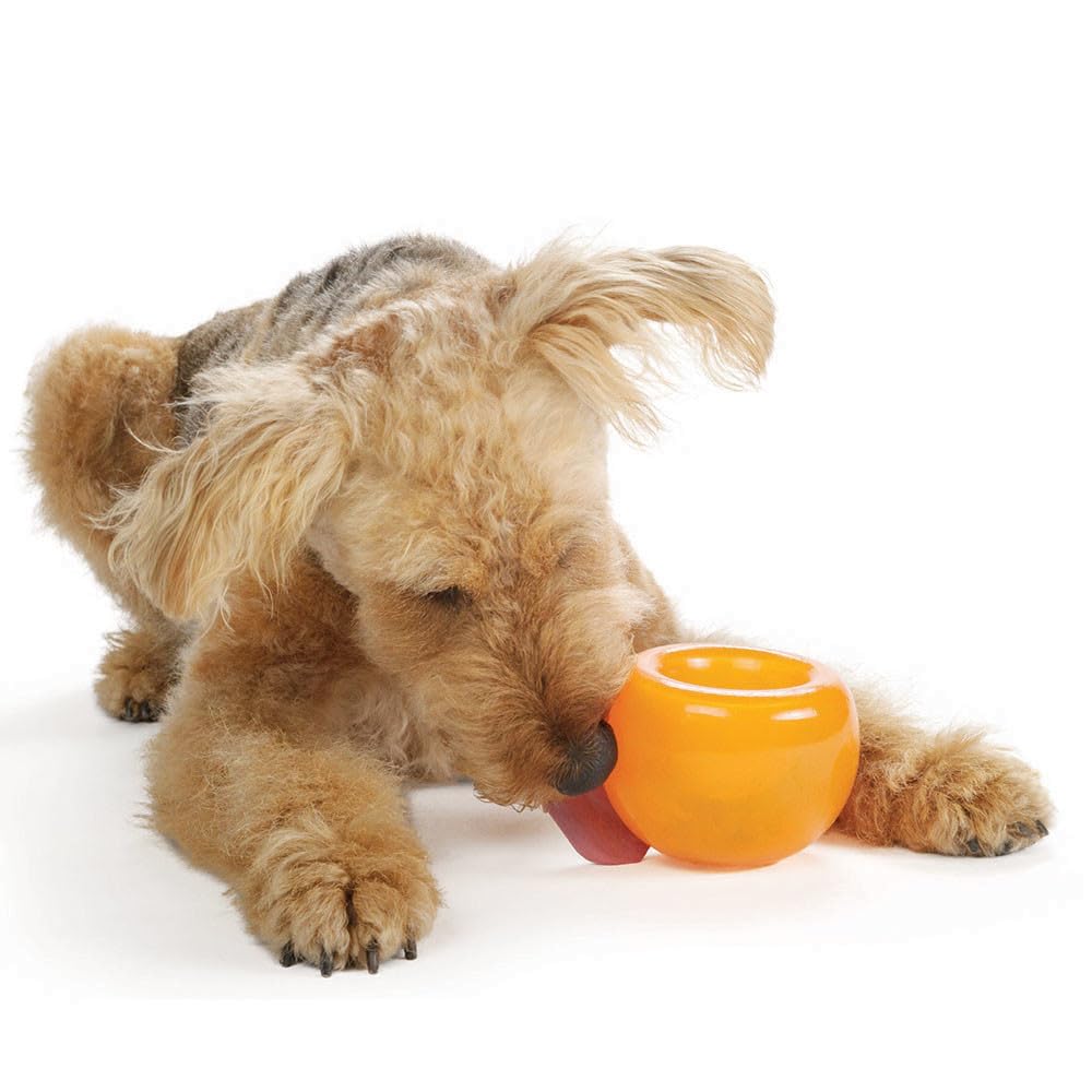 Outward Hound Snoop Dog Toy – Treat‑Dispenser Puzzle Ball, Interactive Slow Feeder, Medium to Large Dogs, Bouncy & Mint-Infused, Orange, 5" 🍁 All In One Marketplace Canada