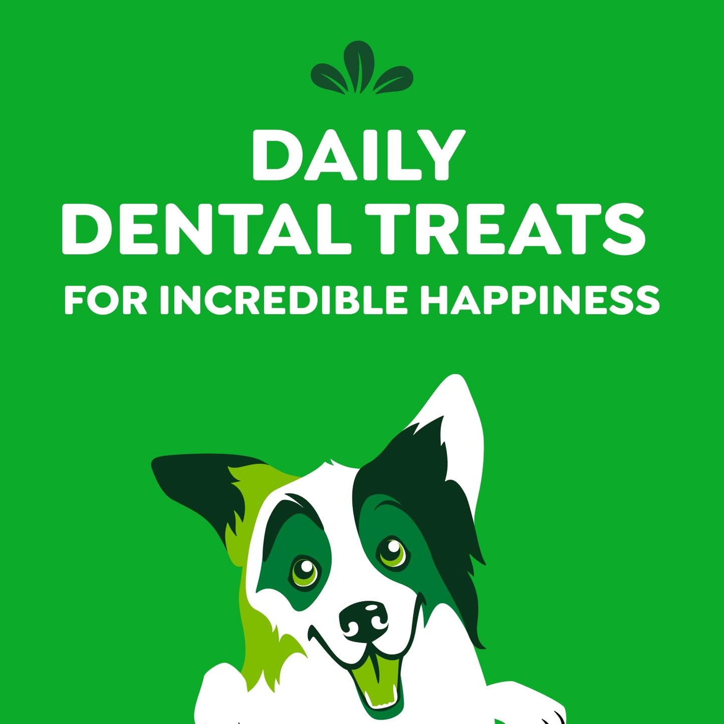 GREENIES Dog Treats Original Regular Natural Dental Care, (36 Treats) 36 oz. Pack 🍁 All In One Marketplace Canada