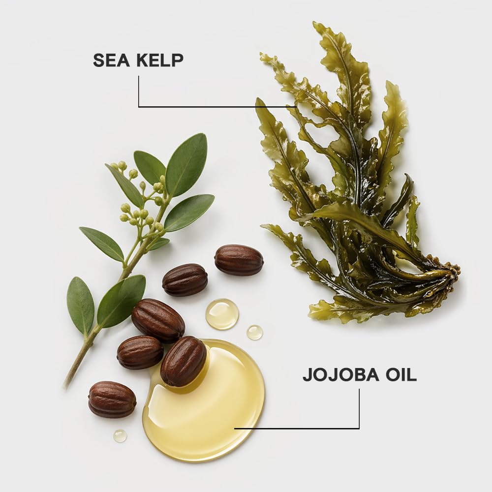 Joico Moisture Recovery Shampoo for Dry Hair, Moisturizing Shampoo for Dry Damaged Hair with Keratin 🍁 All In One Marketplace Canada