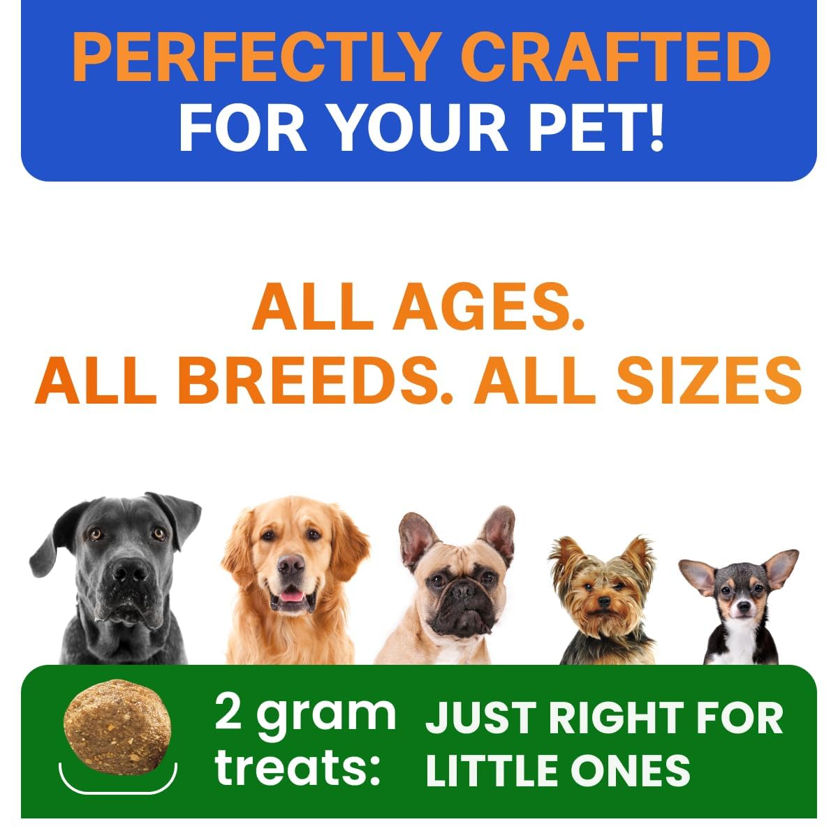 Probiotics for Dogs - Gas, Diarrhea, Allergy, Constipation, Upset Stomach Relief, w/Digestive Enzymes + Prebiotics - Chewable Supplement - Improve Digestion, Immunity - Dog Probiotics Chews - 180Ct 🍁 All In One Marketplace Canada