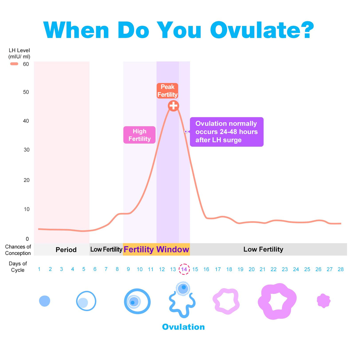 Easy@Home 100 Ovulation & 20 Pregnancy Test Strips Kit: Accurate Fertility Tests - Powered by Premom App OPK | 100 LH + 20 HCG 🍁 All In One Marketplace Canada