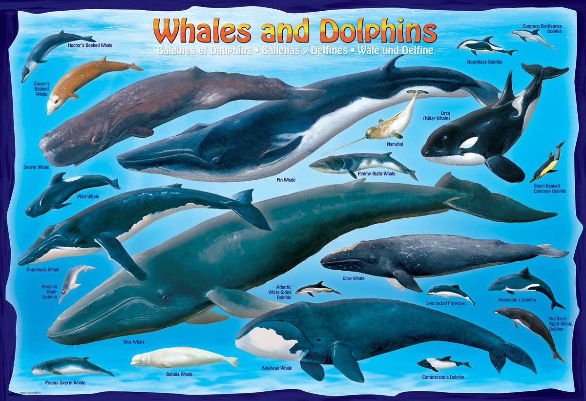 Eurographics Whales and Dolphins 100-Piece Puzzle - Ages 5+