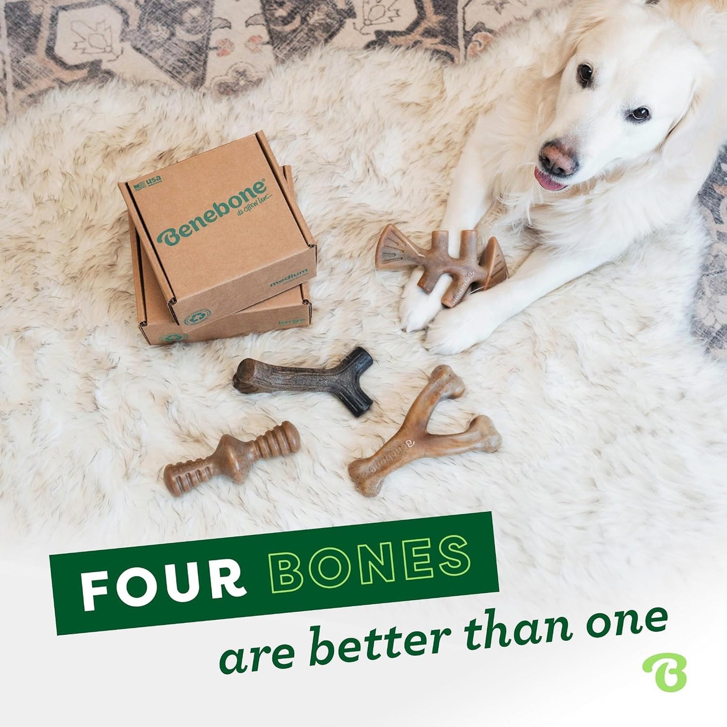 Benebone 4-Pack Durable Dog Chew Toys for Aggressive Chewers, Real Flavors, Made in USA, Medium 🍁 All In One Marketplace Canada