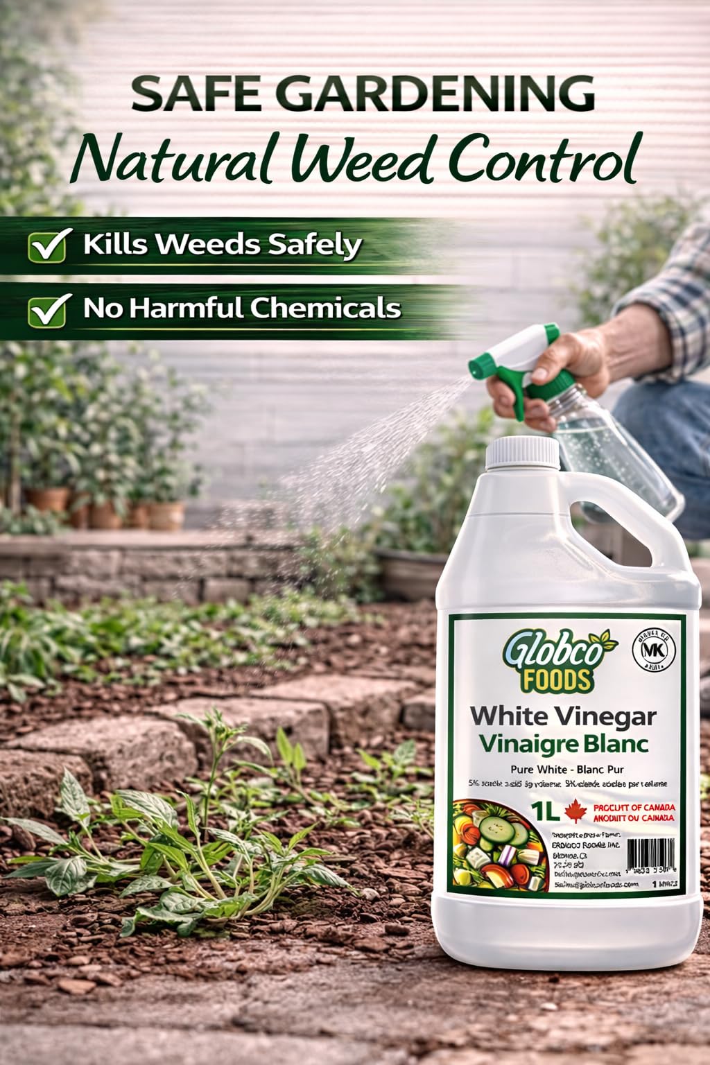 Globco Foods Pure White Vinegar 1L - Allergen-Free & Gluten-Free - No Additives - Ideal for Cooking & Cleaning - Multi-Purpose Cleaner for Kitchen, Bathroom & Laundry - Premium Quality- Made in Canada 🍁 All In One Marketplace Canada
