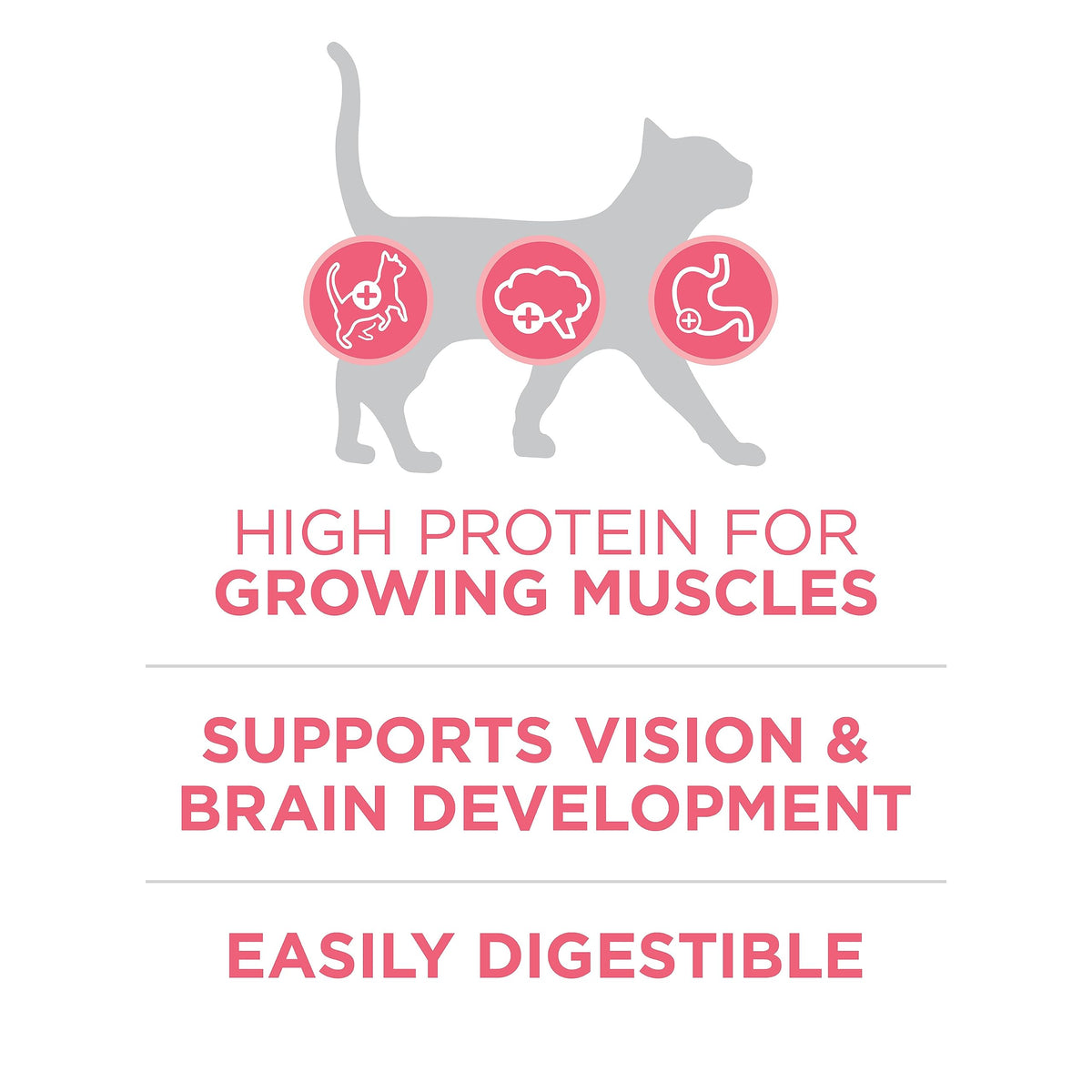 Purina ONE +Plus Dry Kitten Food, Healthy Kitten with Chicken 3kg 🍁 All In One Marketplace Canada